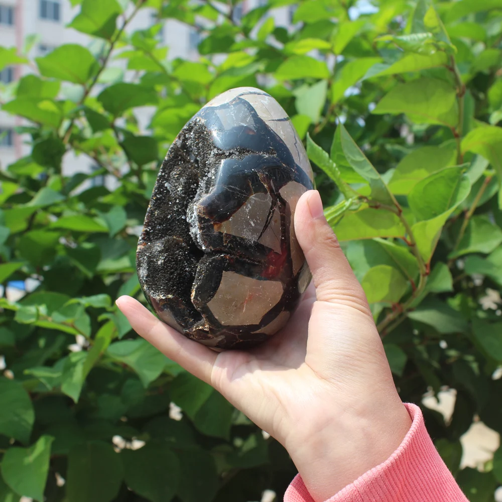 1220g Natural curvature of the furnishing articles Turtle grain stone egg  Ball Septarian nodule  Crystal Healing quartz