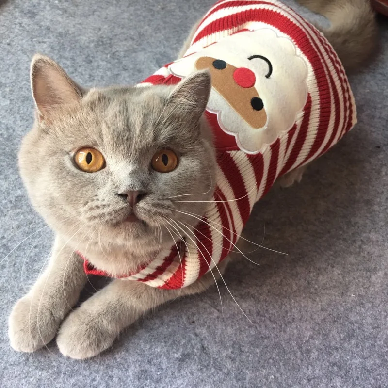 8 Color Christmas Pet Cat Sweater For Cats Halloween Clothes For Small Dogs Cats Kedi Kitten Pullover Santa Clothing Outfits XXS