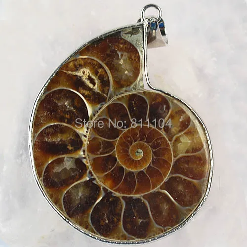 

45mm- 50mm Big Natural Ammonite Shell stone Pendant Beads Wholesale ( 10 pieces/lot)