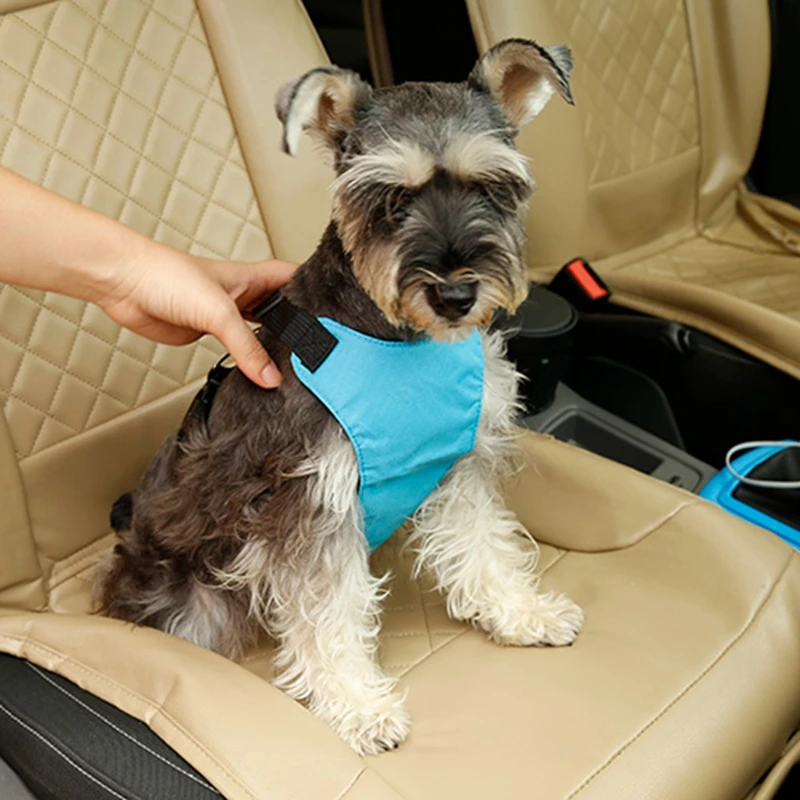 Multi-colors Fashion Polyester Mesh Nylon Adjustable Pet Dogs Safety Seat Belt three sizes Vehicle Harnesses