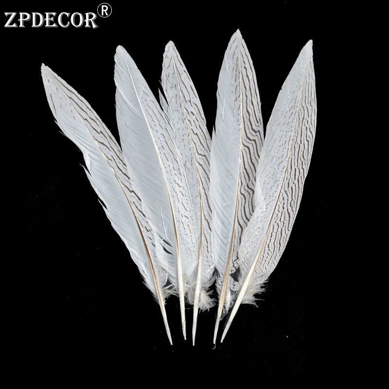 

25-30 CM 10-12 Inch Silver Pheasant Tail Feathers Color can be custom