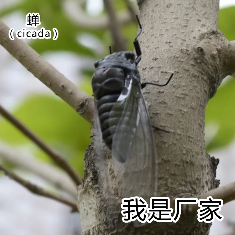 

50pcs/ a lot Folk Art Clay Material Artificial Insect Model Crafts Handmade Solid Figure Cicada MM-016