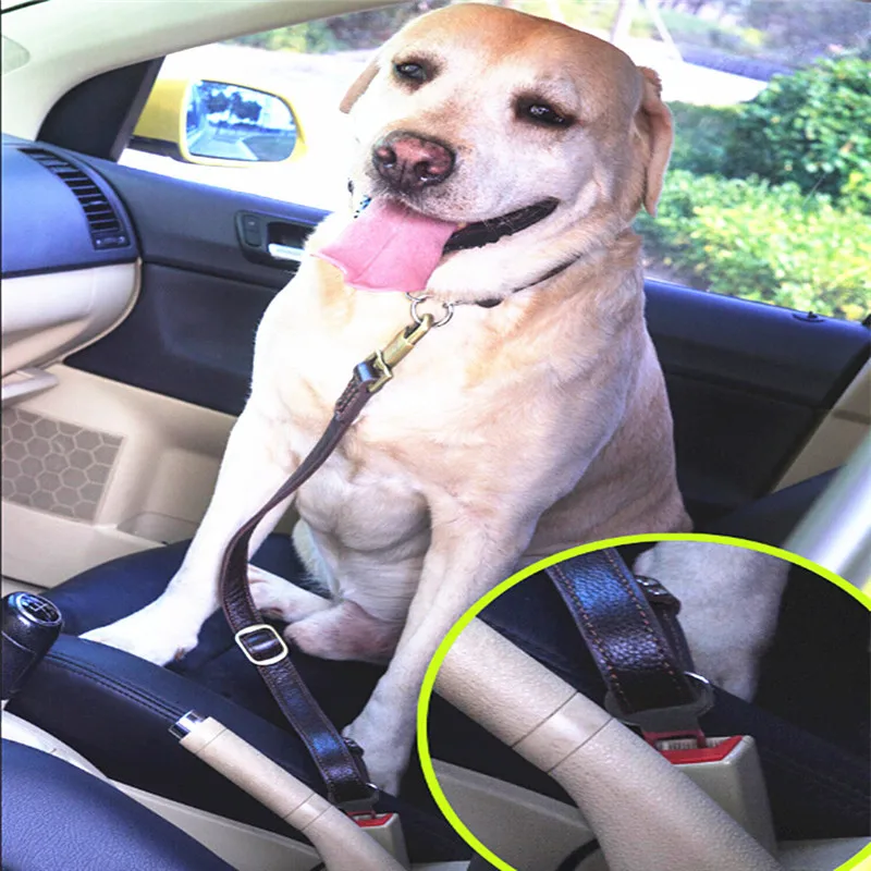 

Car Safety Seat Large Dog Belt Leads Pet Leash Original Leather Travel Vehicle Restraint Harness Auto Traction Rope For Big Dogs