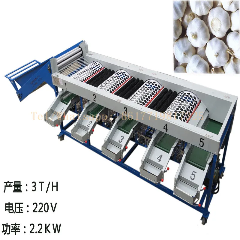 Top Quality Fruit Process Plant/Garlic Sorting Machine/Onion Grading Machine