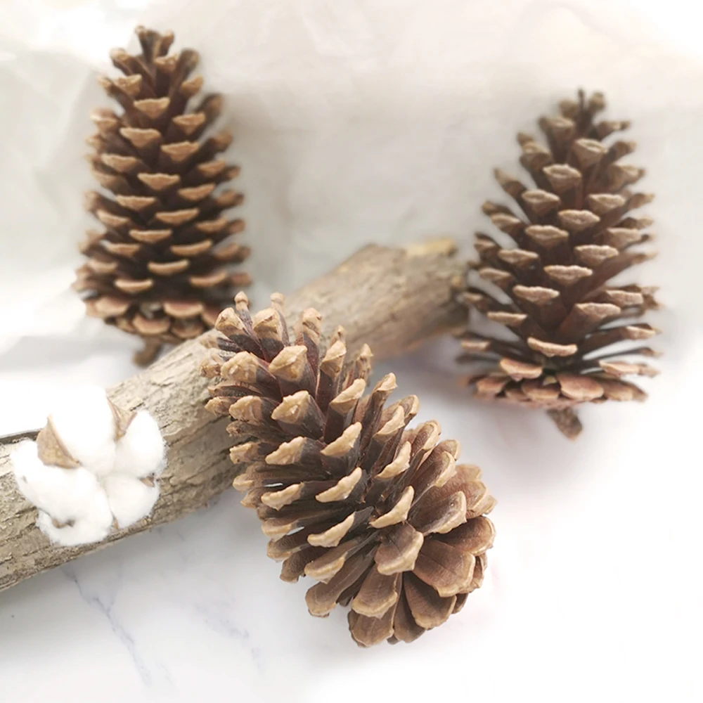 8pcs 12-14cm big size natural Christmas decoration big pine cones