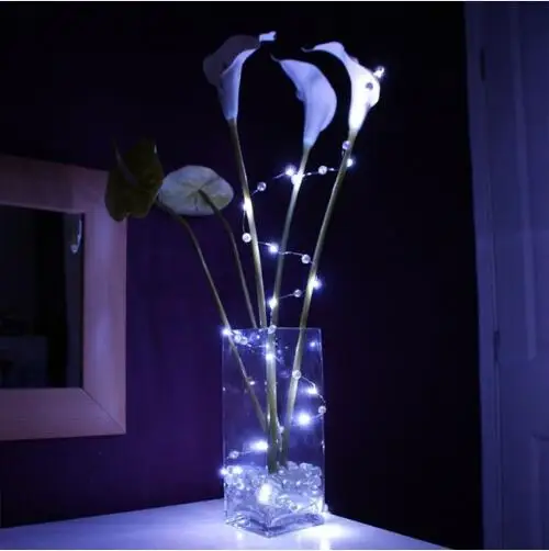 

Wholesale CR2032 Coin Battery operated warm white color Micro vine lights Christmas decoration Fairy Mini led String Light Wire