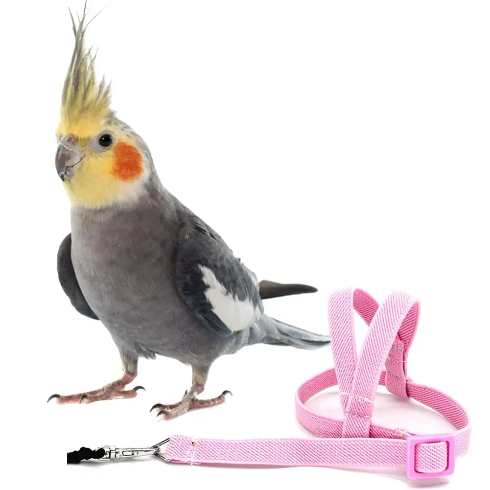 Hot Sale Anti-bite Flying Training Rope Parrot Bird Pet Leash Kits Ultralight Harness Leash Soft Portable Pet Playthings