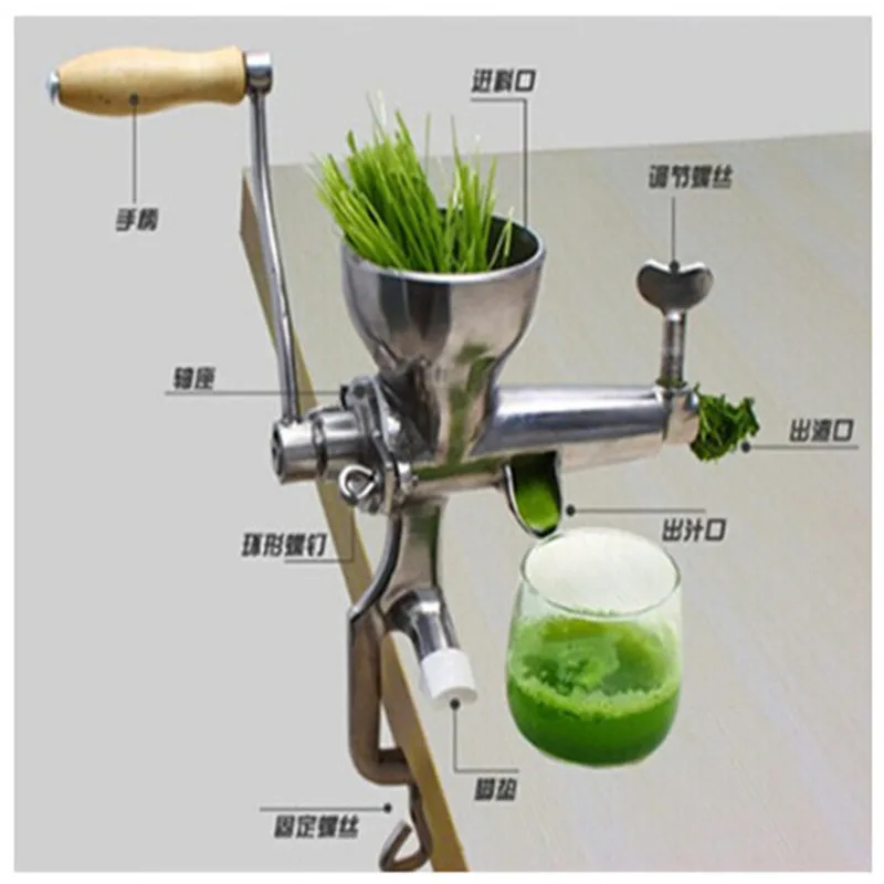 

Healthy wheatgrass commercial juicer machine for wheat grass apple orange lemon pear grape fruit juicing machine ZF