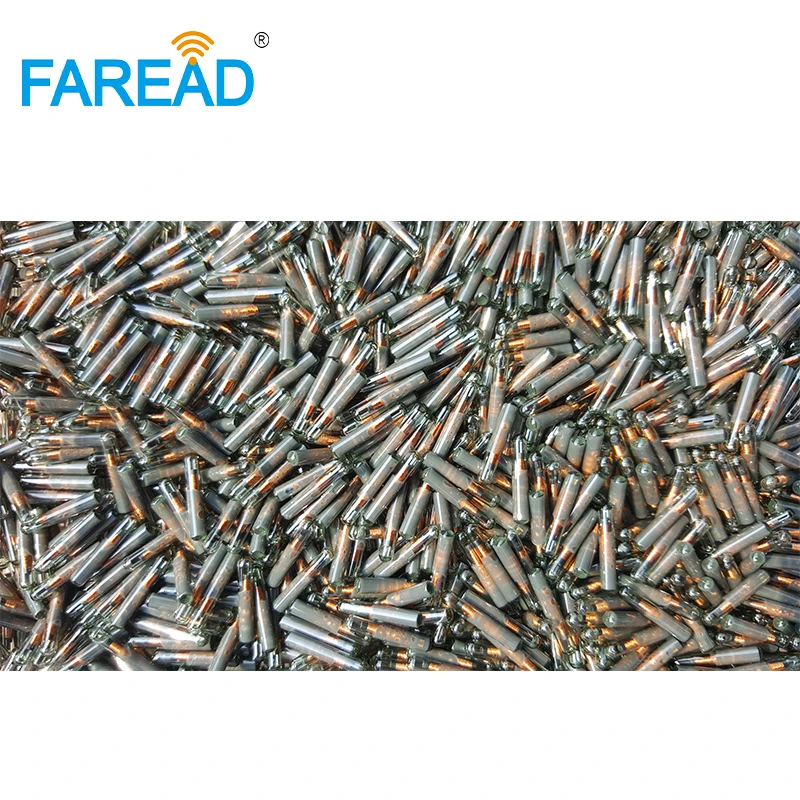 80pcs 1.4*8mm 134.2KHz 애완 동물 ID 태그 EM4305 RFID 마이크로 칩 동물 칩 트랜스 폰더 개를위한 ICAR 번호 코딩 물고기 가축