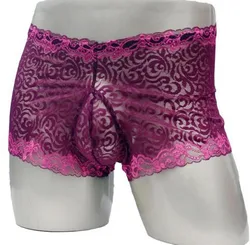 Sissy Gay Panties Lace Men Underwear Sexy Transparent Big Boxer ZJH884P