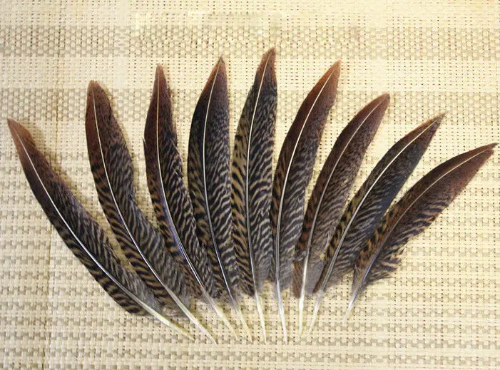 

Free shipping 100pcs 15-20cm natural real golden pheasant tail plumage craft feathers 6-8inch bulk sale for hat jewelry