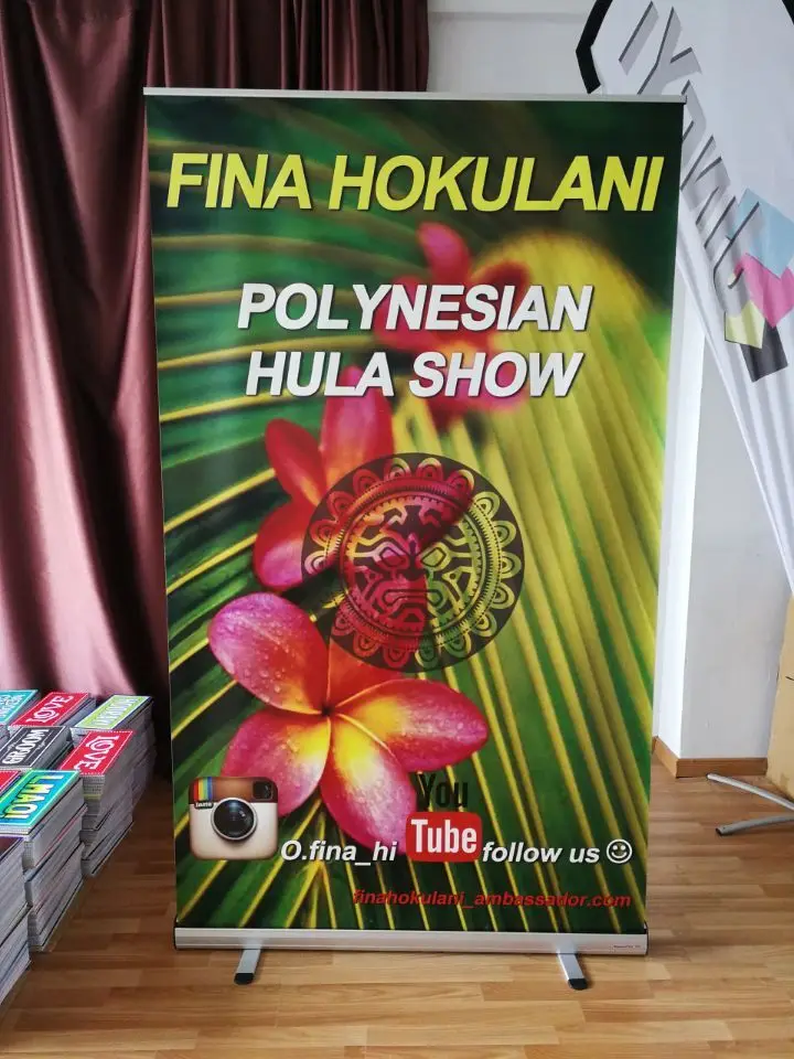 120CM Wide Roll Up Banner, High Quality Backdrop Stand Banner, Exhbition Pull Up Stand, Logo Backdrop, Free Shipping