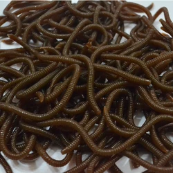 NGB 10pcs/lot 8cm Soft Bait Simulation Earthworm Bite Grub Soft Worm Specially Smell Lures Artificial Tackle