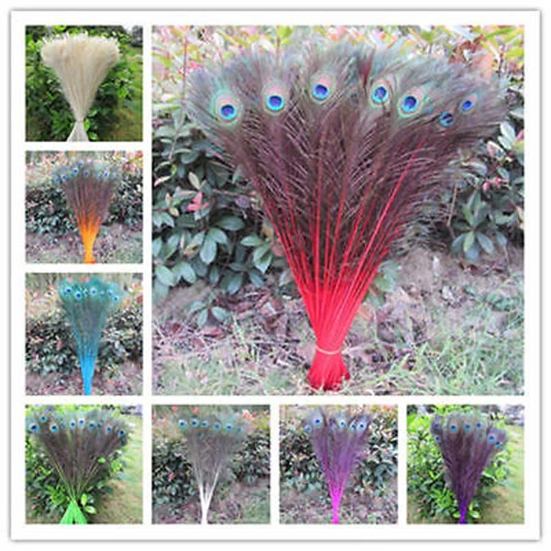 Beautiful 50 PCS peacock feathers eye 28-32 inches / 70-80 cm Choose