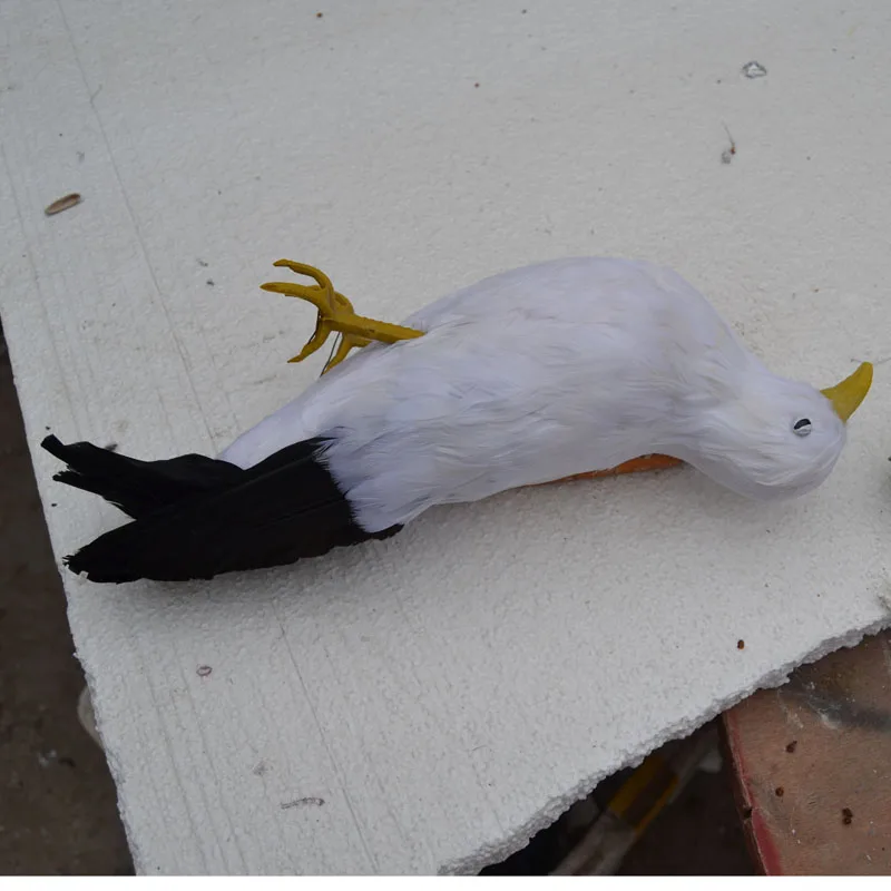 about 30cm feathers died seagull Handmade art model,,Environmental protection publicity filming prop toy gift w3917