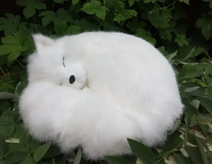 big simulation white fox toy beautiful resin&fur fox sleeping fox doll gift about 27x12x27cm 2100