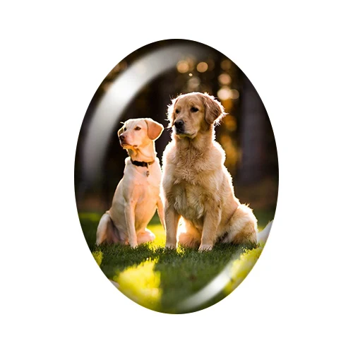 Lovely Dogs Love Pet animals 10pcs mixed 13x18mm/18x25mm/30x40mm Oval photo glass cabochon demo flat back Making findings TB0027