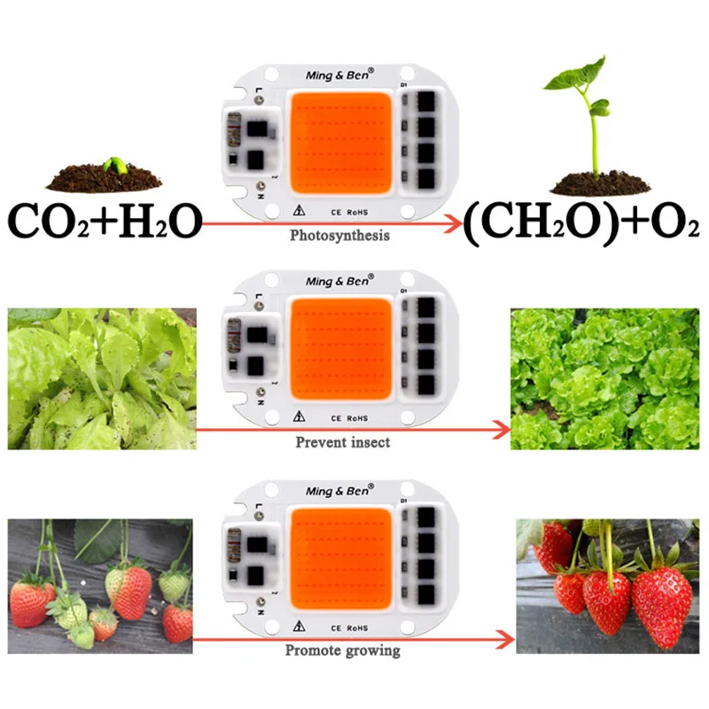 LED Grow Light Lamp Chip Full Spectrum Grow Led Chip AC 110V 220V 20W 30W 50W For Indoor Plant and Flower Seedling Growth Lights