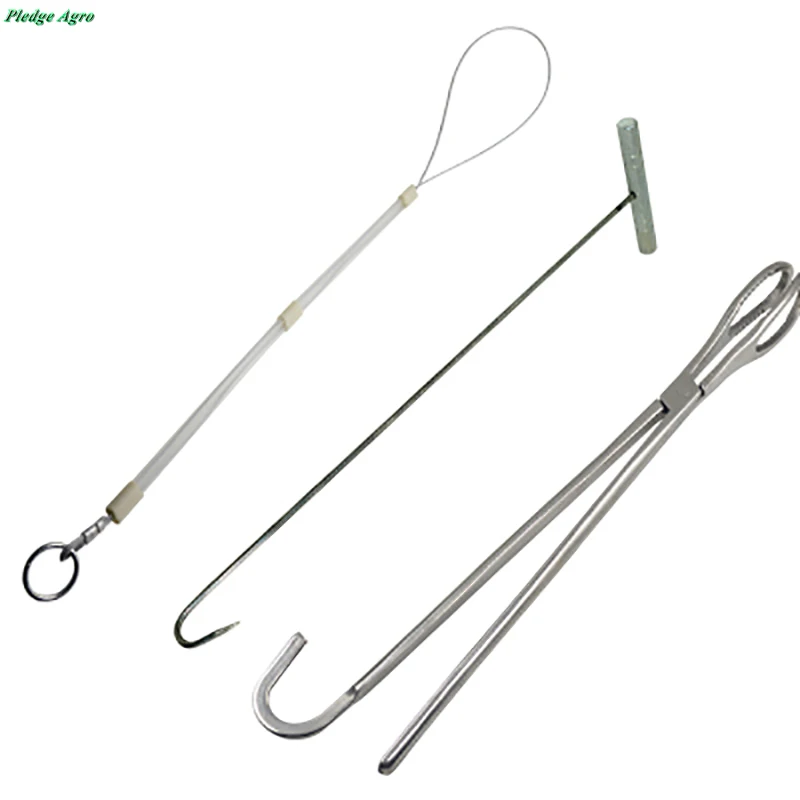 

Stainless Steel Assistant Birth Pliers Kit Set Unit Cow Sheep Pig Midwifery Clamp Farm Animals Profession Veterinary Equipment