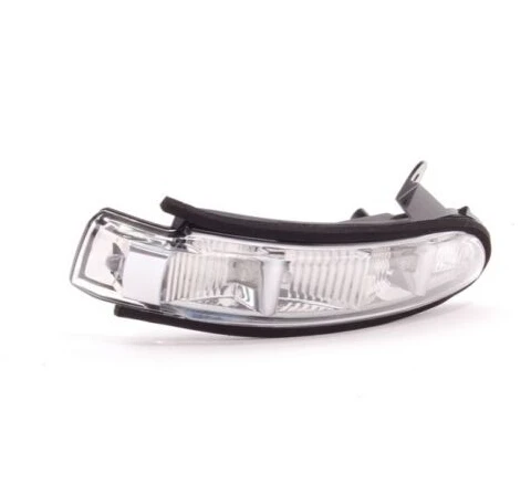 Right Door Mirror Turn Signal Light for Mercedes W211 W221 W219 2198200521 07-10 2198200621