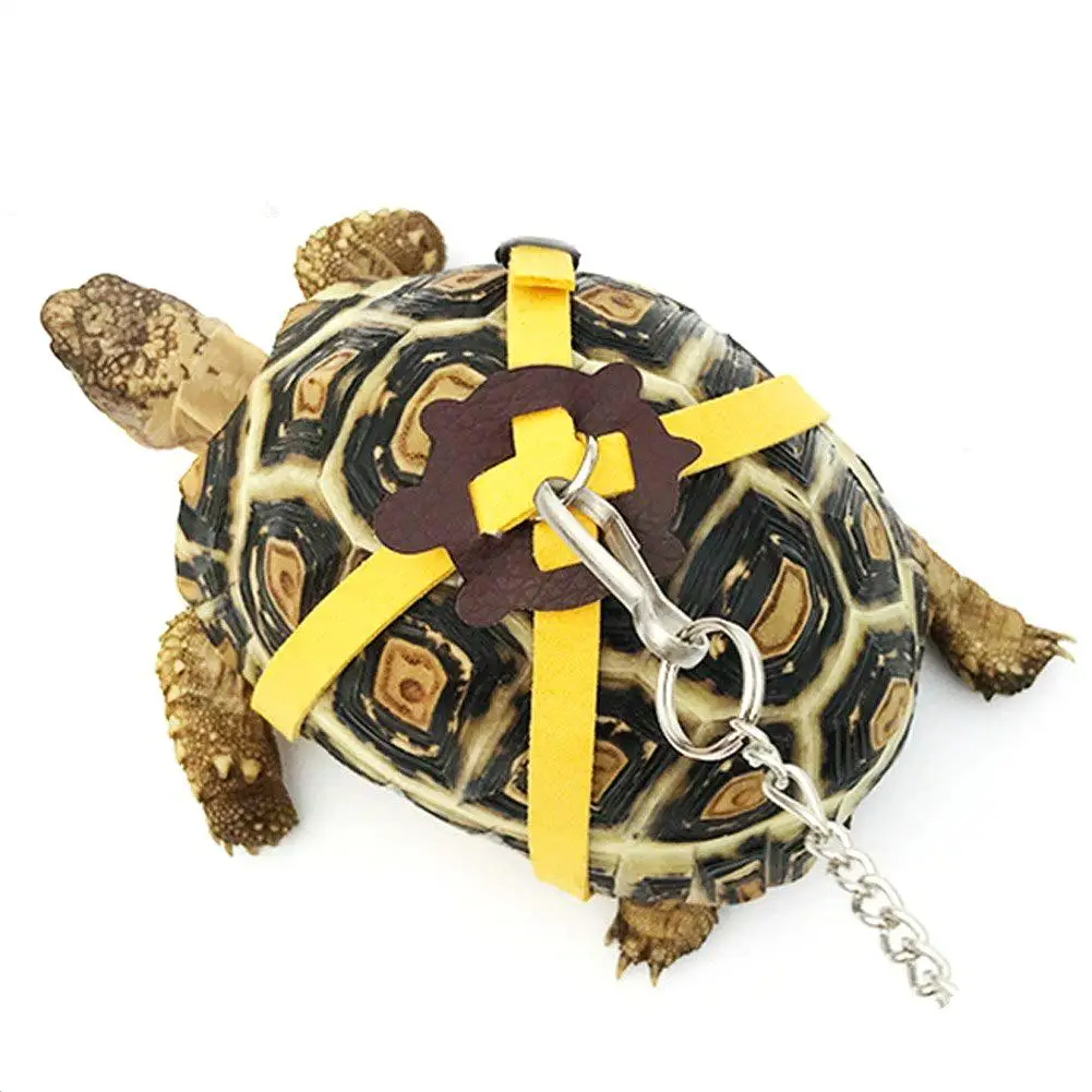 

New Small Pet Hamster Pet Traction Rope Turtle Lead Leash