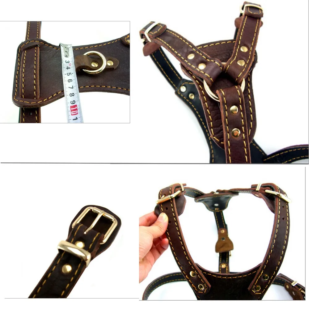 Pet Products Genuine Leather Dog Vest Harness For Medium Large Dog Pets Professional Dog Vest Collar Hand Chest Straps