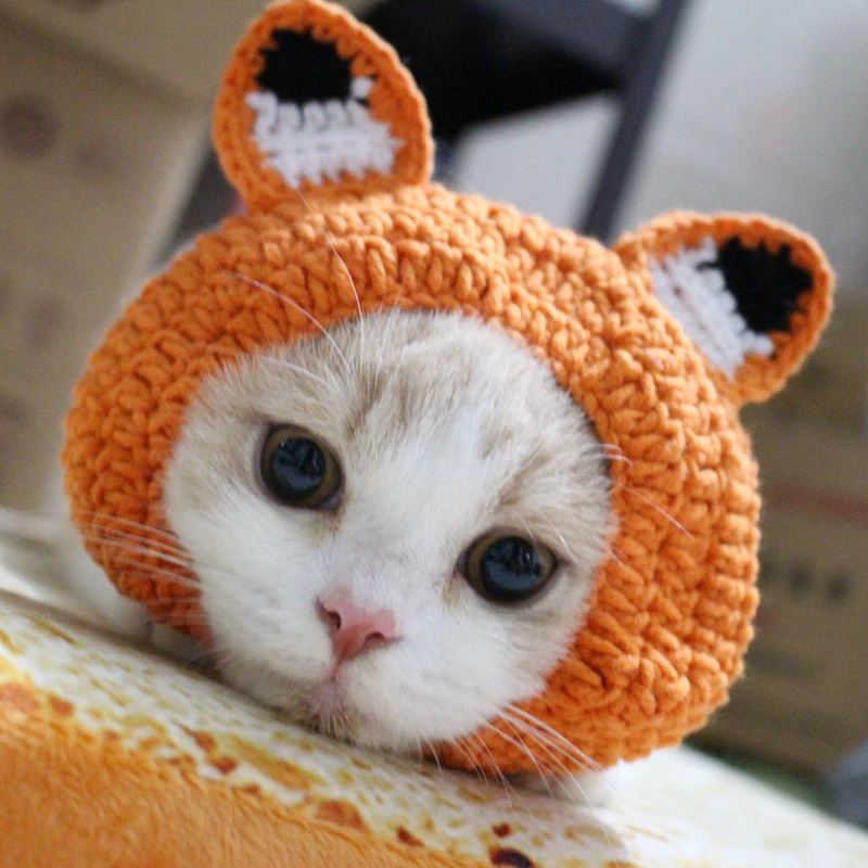 [MPK Store]  Cat Beanie with Ears, Adorable Cat Costume, 2 Sizes Available