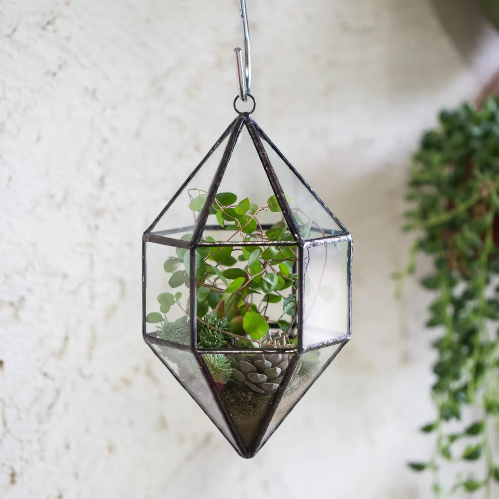 

NCYP Wall Hanging Glass Geometric Terrarium Handmade Garden Succulent Fern Moss Plant Flower Planter Pot Glass Centerpiece Gift