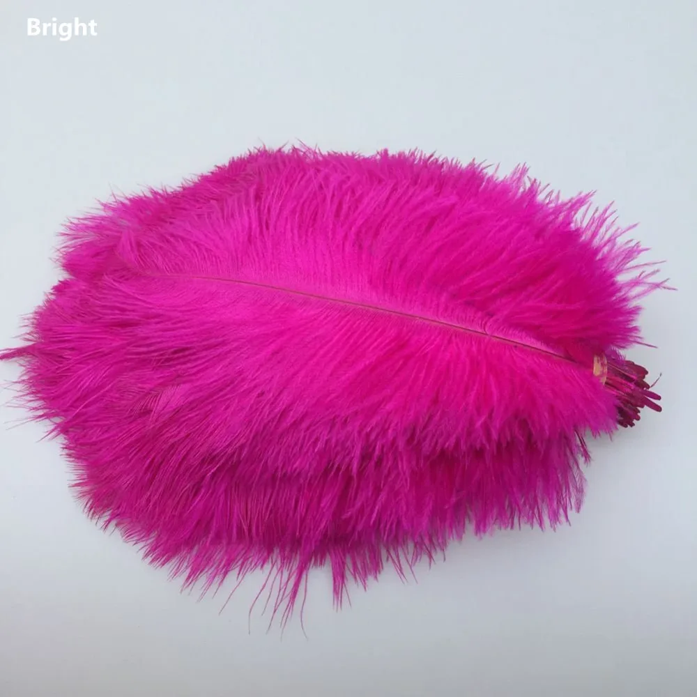 Wholesale! 50 Pcs High Quality Natural Ostrich Feathers 10-12inch / 25-30cm DIY Wedding Party Decoration Jewelry Accessories