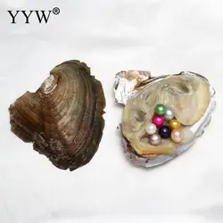 9 colors to choose akoya pearl oysters Genuine Fresh Water Oyster Beads Charm Dyed Beads Jewelry Making Multi Color Beads 7-8 MM