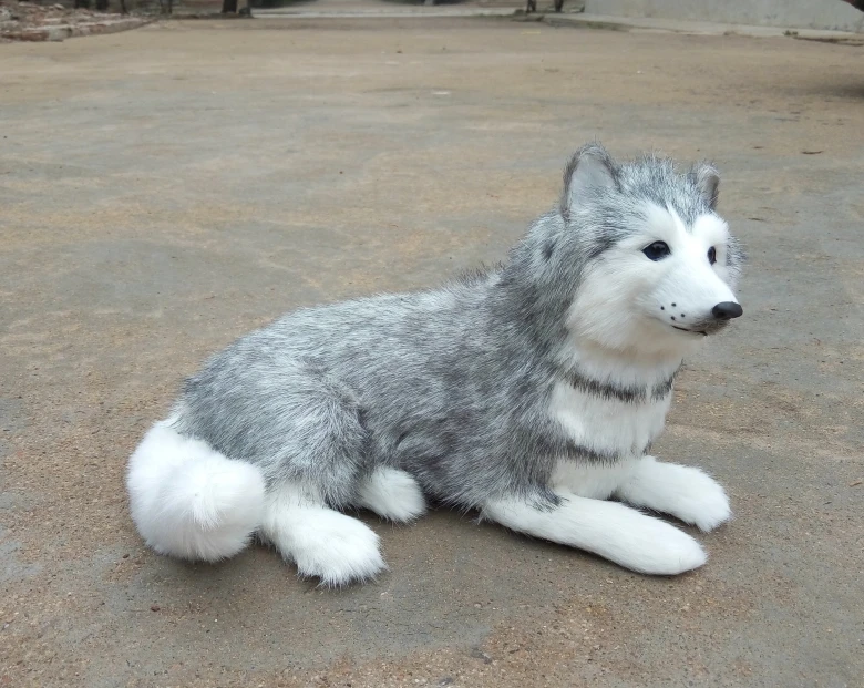 

large 31x20cm lying husky model,polyethylene&furs handicraft Figurines home decoration gift a2826