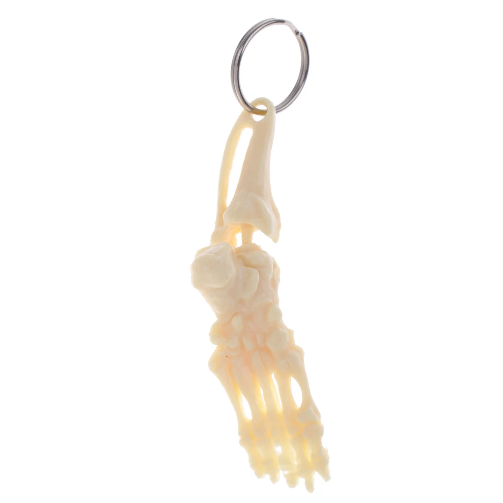 Halloween Mini Human Foot & Ankle Joint Skeleton Model Keychain Key Ring Bag Pendant Collectibles Gift Halloween Party Favors