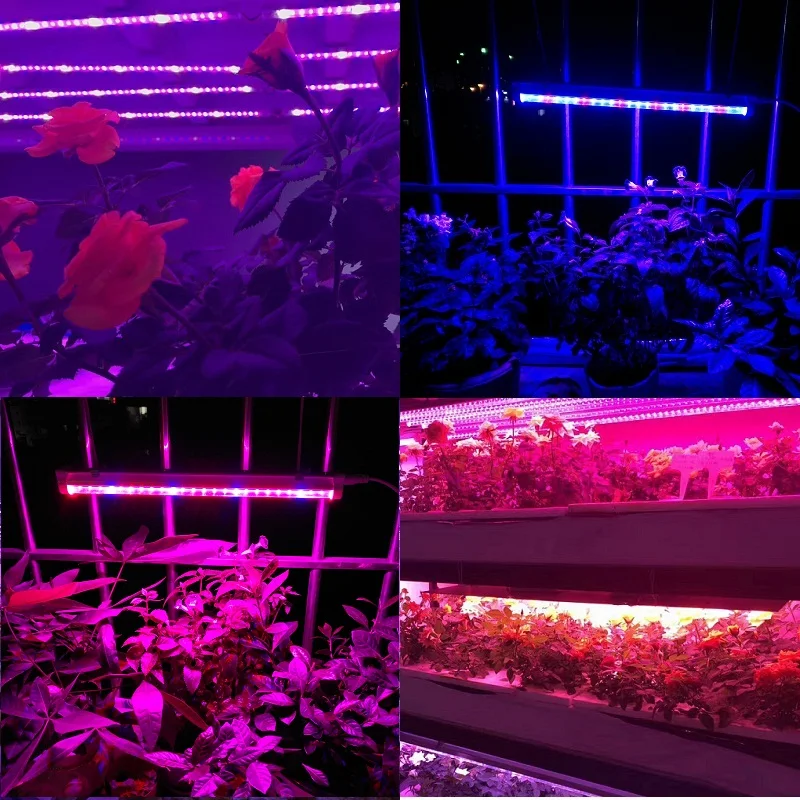 Grow Light Phyto Lamp Aquarium Light 12W 24W Grow Led Fitolampy For Plants T5 Led Grow Light Full Spectrum Grow Lamp For Plants