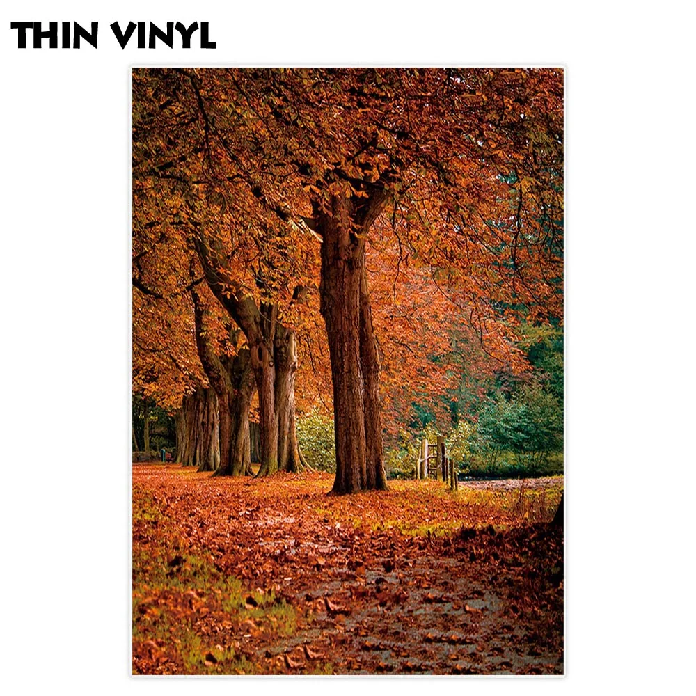 Allenjoy-사진 스튜디오용 배경, 아름다운 낙엽 숲, 다채로운 낙엽, 도로 배경, 가을 포토부스