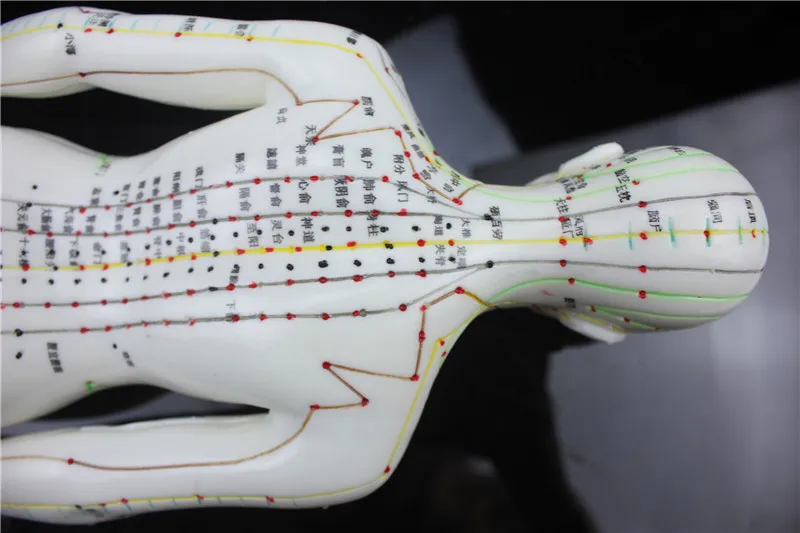 HD Soft silicagel Acupuncture Model 46cm female with Base Human acupuncture meridians model Acupoint Model Acupuncture massage