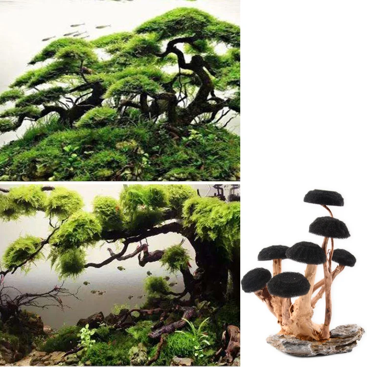 Moss tree Aquarium landscaping forest wooden framed tank forest landscaping skeleton decoration water grass root bush mushroom