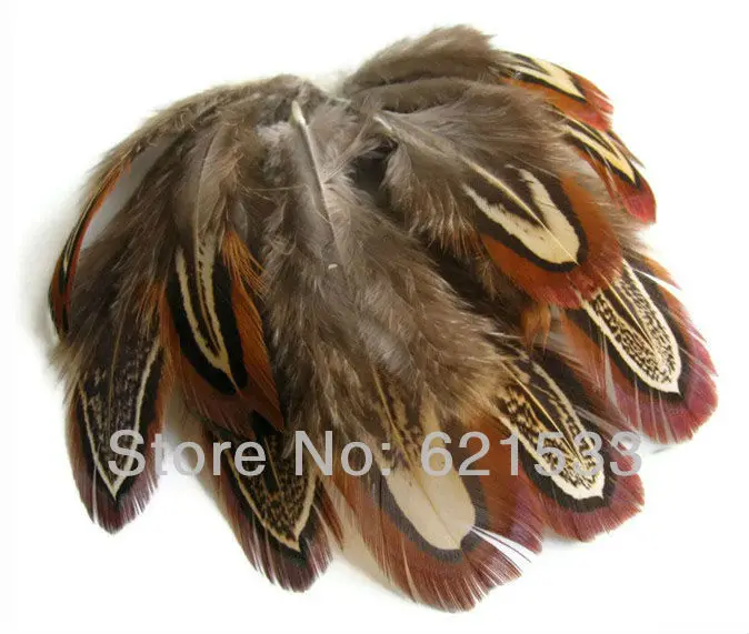 100Pcs/Lot 2-3 inches 5-7cm NATURAL ALMOND Ringneck Pheasant Plumage Feathers,Ringneck Pheasant small feathers