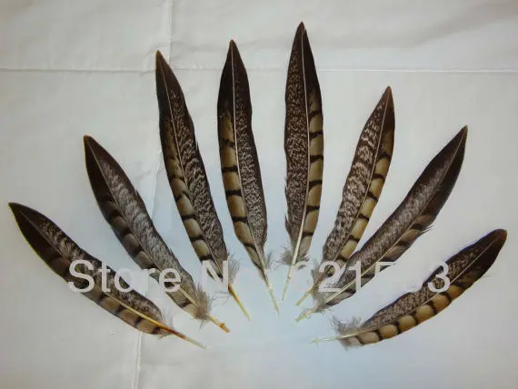 

Хвостовые перья, 50 шт./лот, 6-8 дюймов, 15-20 см, НАТУРАЛЬНЫЕ перья из хвоста фазана Lady Amherst для изготовления ювелирных изделий