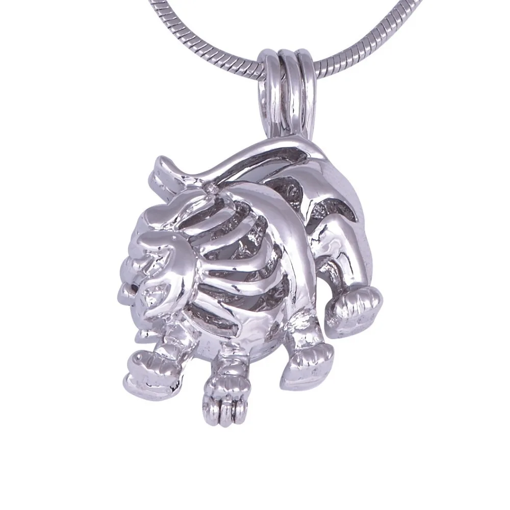 جميل لطيف الأسد شكل حبة المنجد قفص قلادة حوامل ، 18kgp علامات زودياك-أسلوب ليو سحر DIY 5 قطعة/الوحدة #1