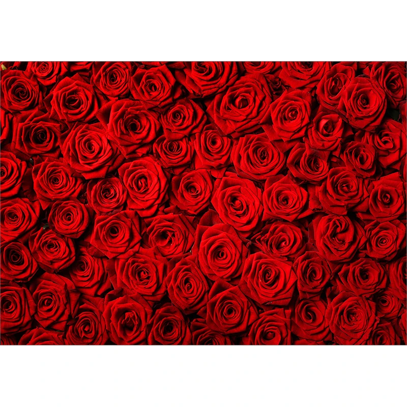 Funnytree background for photography red rose wedding wall decor sweet custom backdrop photo studio photocall new
