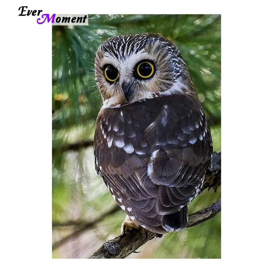 

Needlework 5d diy diamond painting cross stitch kits Big eye owl Wall Stickers Full Round Square Stones embroidery home ASF022