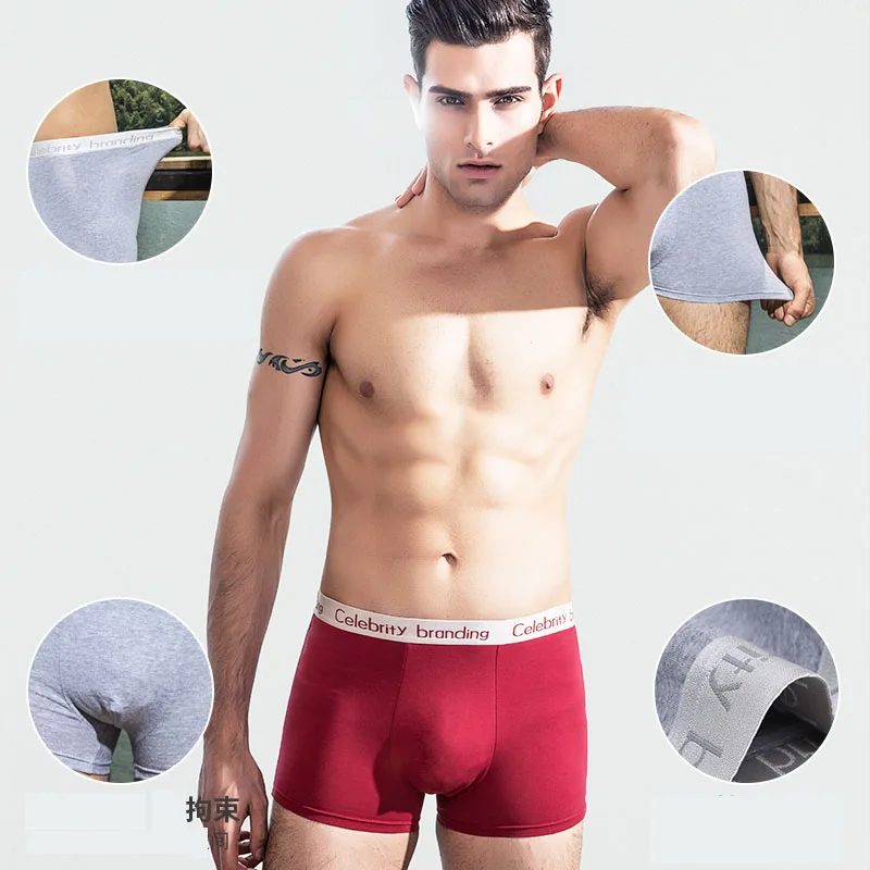 High Quality Boxer Shorts Mens 4PCS Underwear Soft Boxers Cotton Boxer Men Solid Boxer Plus Size Comfort Mens Underwear Branding