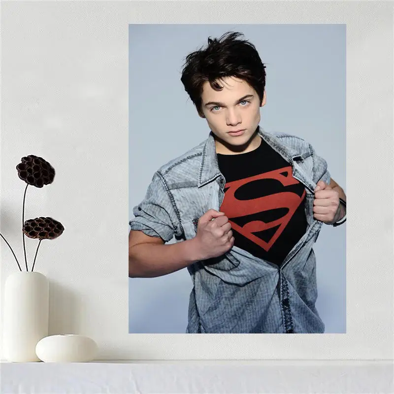 Custom canvas poster Art Dylan O'brien Home Decoration poster cloth fabric wall poster print Silk Fabric Print SQ0527