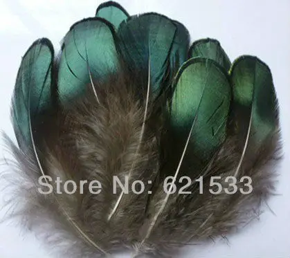 

100Pcs/Lot 5-8cm Lady Amherst Iridescent Green Plumage Feathers Crafts Jewelry Fly Tying,Lady Amherst Plumage feathers