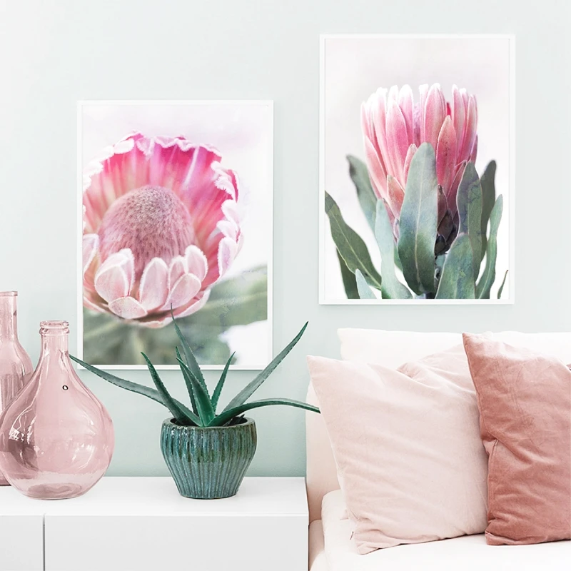 Botanical Protea Art Prints Canvas Painting Pink Flower Photo Wall Picture Poster Home Bedroom Decoration