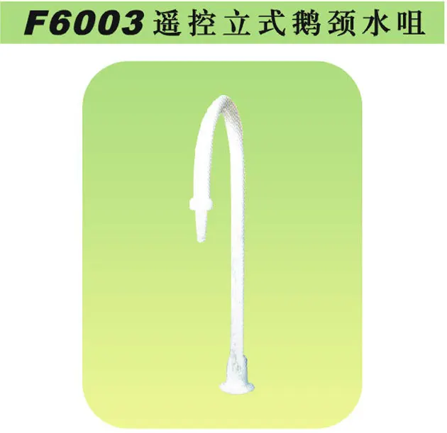 F6003 Remote vertical gooseneck water nozzle