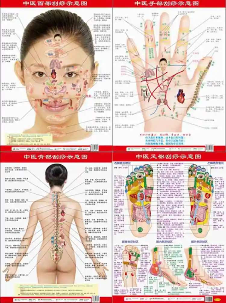 Qu’est-ce qu’une masseuse chinoise à domicile et comment choisir les meilleurs outils pour un massage à la maison