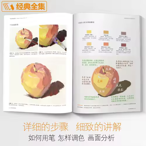 Color basics tutorial book:China Academy of Fine Arts teacher to teach you to paint colors Zero-based entry-painting book - Image 4