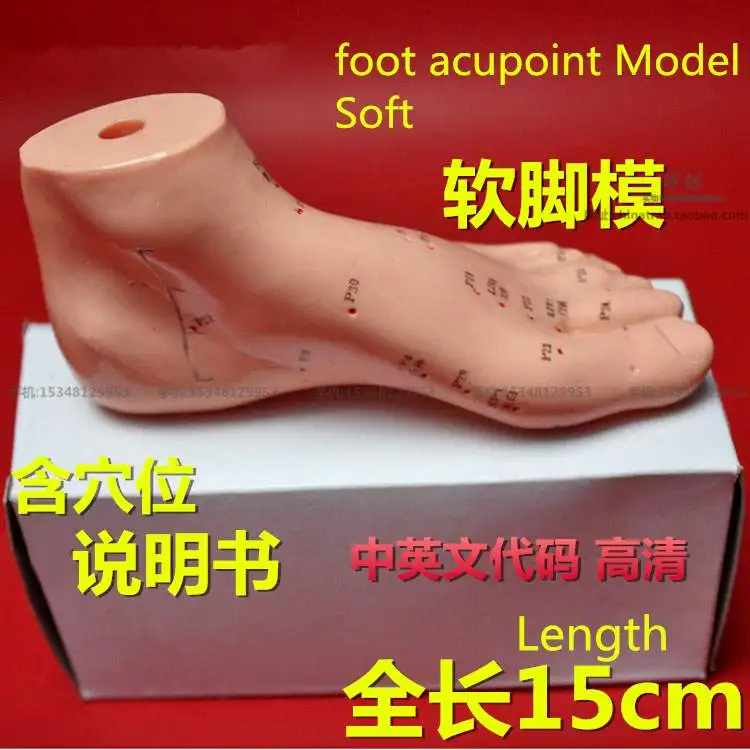 

medical HD foot acupoint Model Adult child acupuncture needle model Massage model Foot care meridian Acupoint reflex area