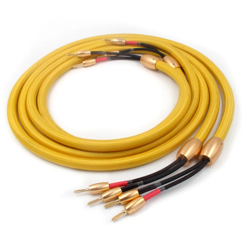 Hifi Accuphase 40th audio speaker cable hifi loudspeaker cable with 24k Gold plated banana plug